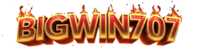 https://bigwin707.asia/
